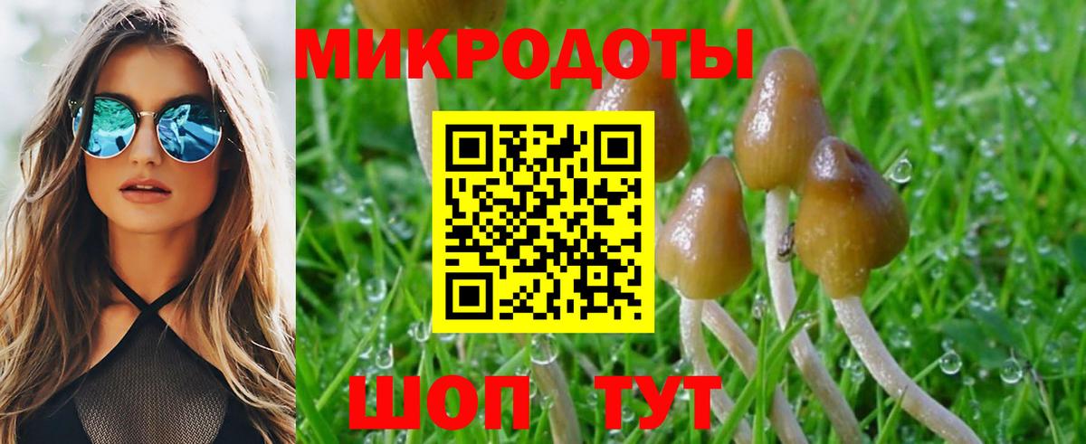 Галлюциногенные грибы мицелий Владивосток